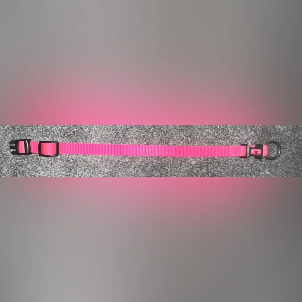 🎉HOST PICK 🎉 Hot Pink Dog Collar - Picture 2 of 7